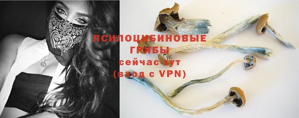 молекула духа Аркадак
