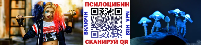 Псилоцибиновые грибы Cubensis  продажа наркотиков  Сальск 